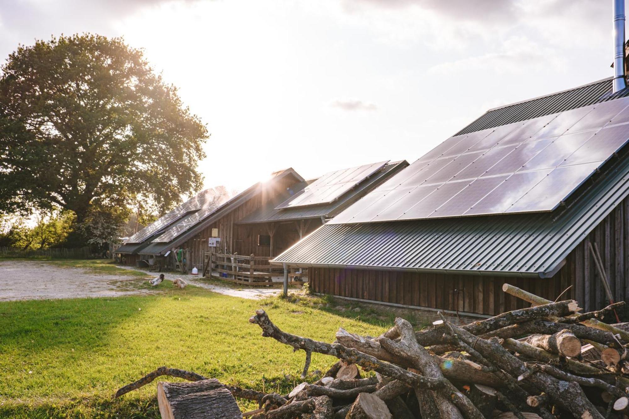 Domo Camp - Nature Glamping Hof Viehbrook Hotel Rendswuhren Exterior foto